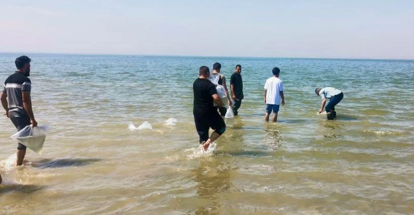 بحيرة الحبانية تستقبل دفعة جديدة من أسماك الكارب