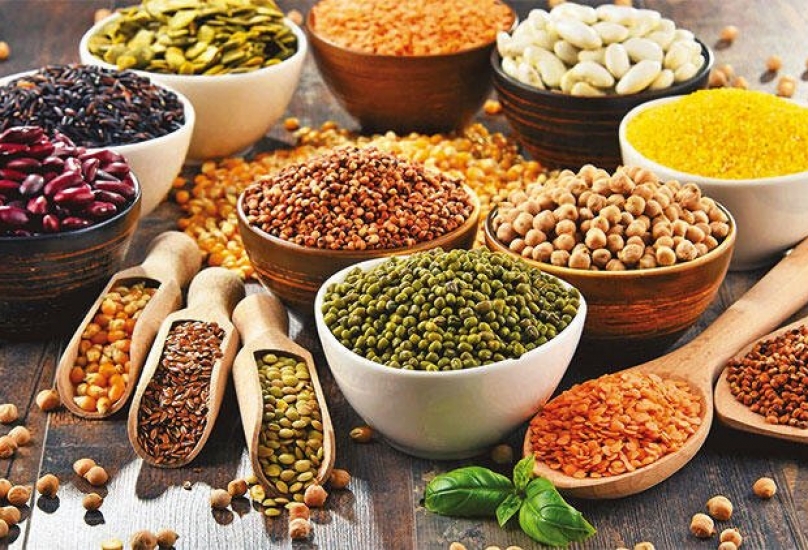 العراق يدعم نمو الصادرات الغذائية التركية