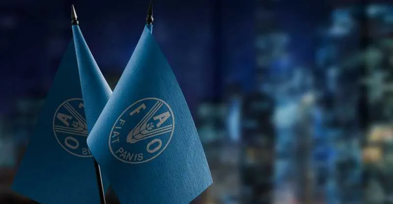 الفاو: وفرة المعروض العالمي من الغذاء أدت إلى هبوط الأسعار