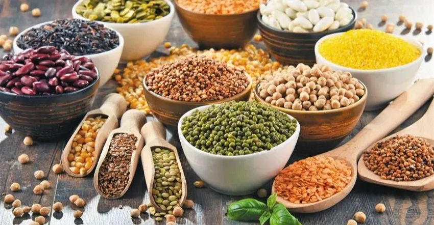 872 مليون دولار صادرات تركيا من الحبوب إلى العراق خلال 11 شهراً من 2025