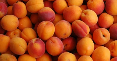 العراق في المرتبة 11 عالميًا باستيراد المشمش بقيمة 13.1 مليون دولار