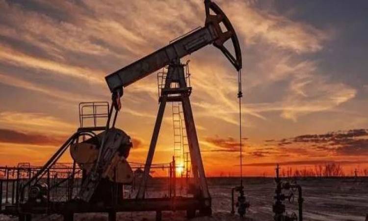 ارتفاع أسعار النفط إلى 74 دولاراً للبرميل