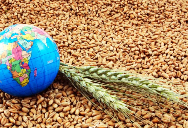 العراق يحلّ 15 عربياً في تصنيف الأمن الغذائي