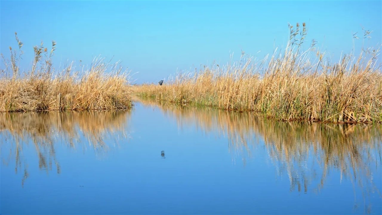 وفرة مائية في العراق.. تحسن في نوعية المياه وإنعاش للنظام البيئي